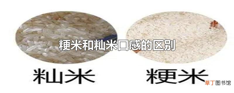 粳米和籼米口感的区别