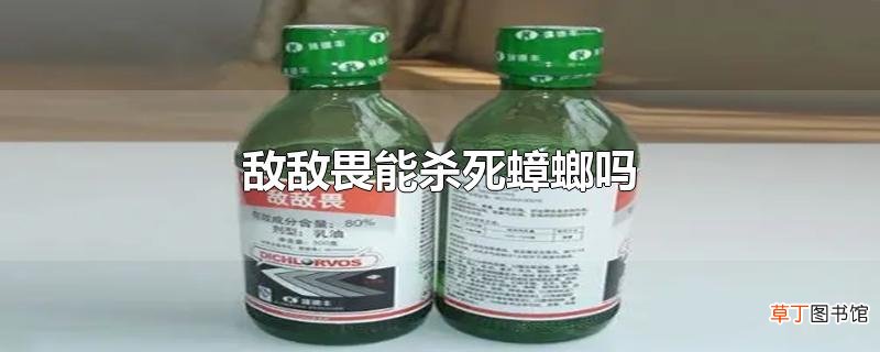 敌敌畏能杀死蟑螂吗