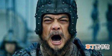 蜀汉名将魏延被灭三族，是犯了什么罪？