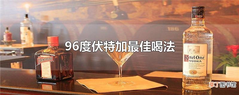 96度伏特加最佳喝法