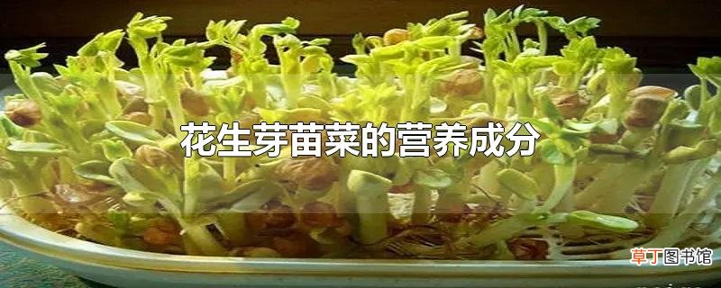 花生芽苗菜的营养成分
