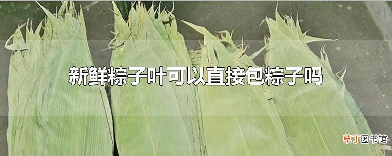 新鲜粽子叶可以直接包粽子吗
