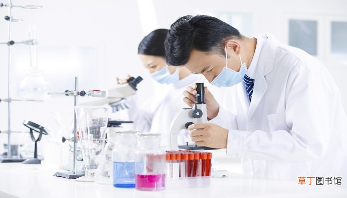 元素周期表的二号元素是什么