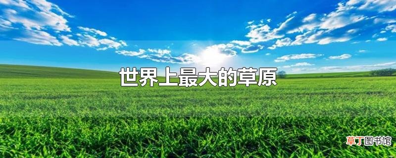 世界上最大的草原