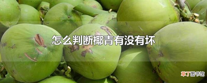 怎么判断椰青有没有坏
