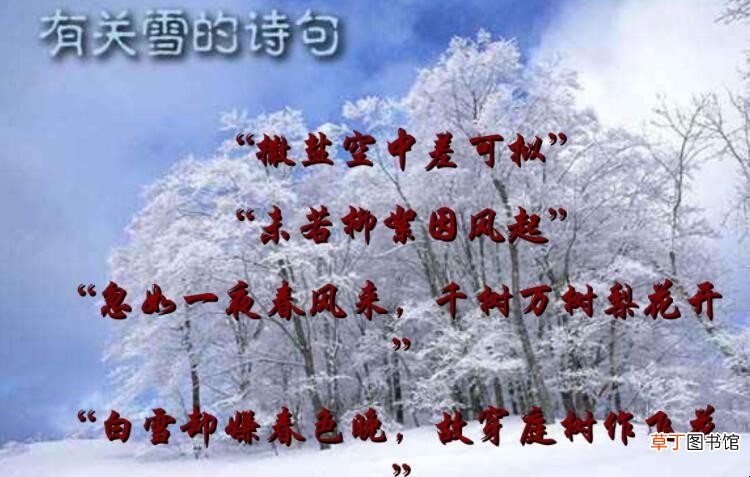 未若柳絮因风起的意思是什么