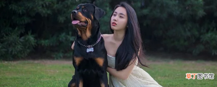 美妆蛋和粉扑哪个好用