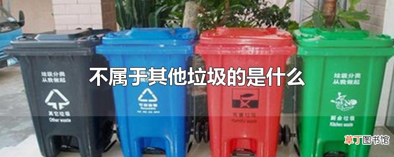 不属于其他垃圾的是什么