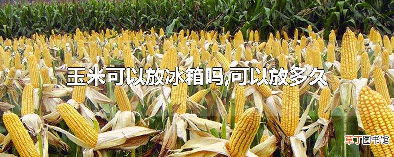 玉米可以放冰箱吗,可以放多久