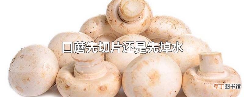 口蘑先切片还是先焯水
