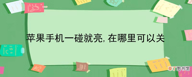 苹果手机一碰就亮,在哪里可以关
