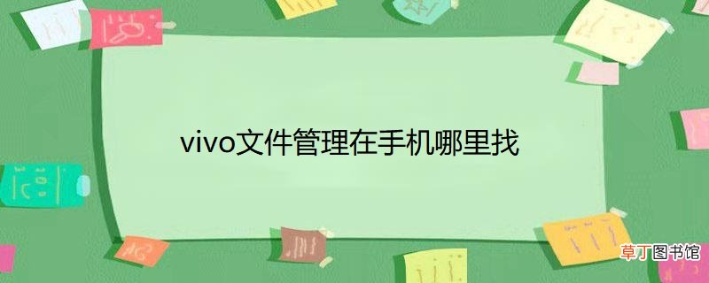vivo文件管理在手机哪里找