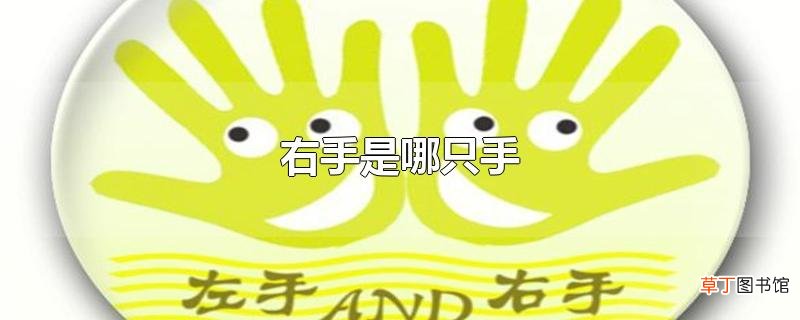 右手是哪只手