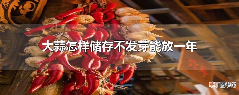 大蒜怎样储存不发芽能放一年