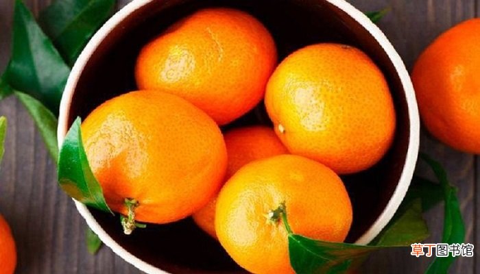 橘生淮南则为橘出自哪里