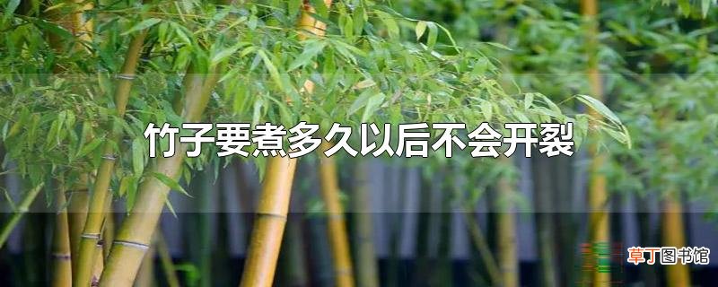 竹子要煮多久以后不会开裂