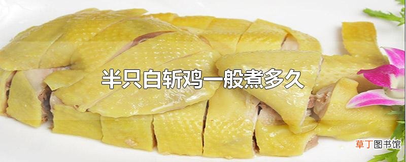 半只白斩鸡一般煮多久