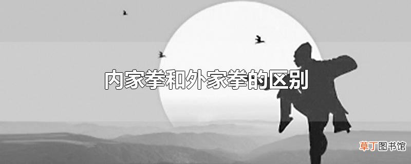 内家拳和外家拳的区别