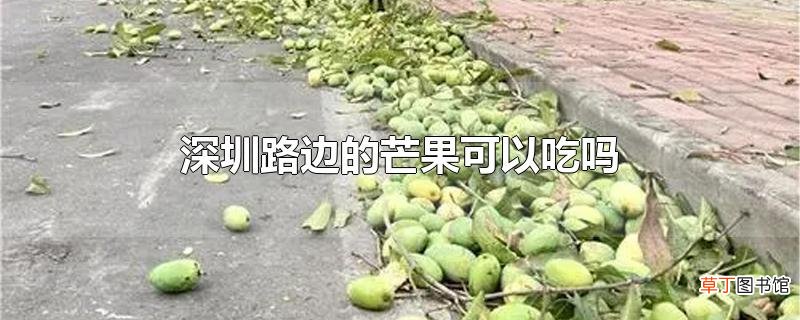 深圳路边的芒果可以吃吗