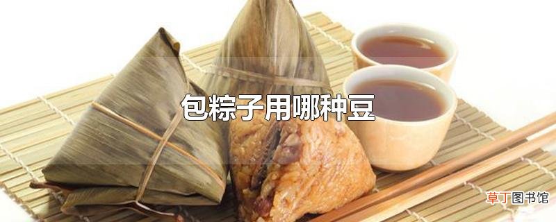 包粽子用哪种豆