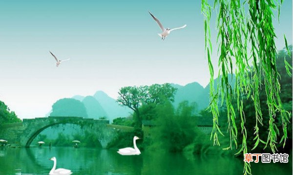 咏柳是描写什么季节的