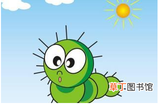 我是一只小虫子主要内容