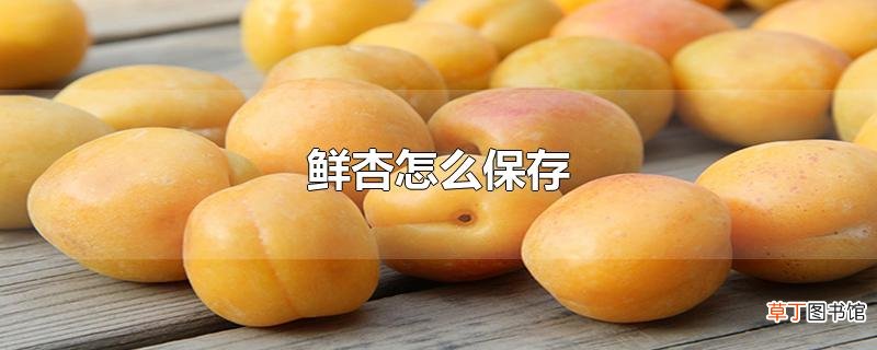 鲜杏怎么保存