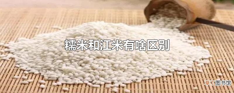 糯米和江米有啥区别