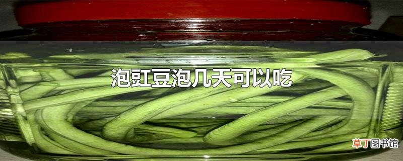 泡豇豆泡几天可以吃