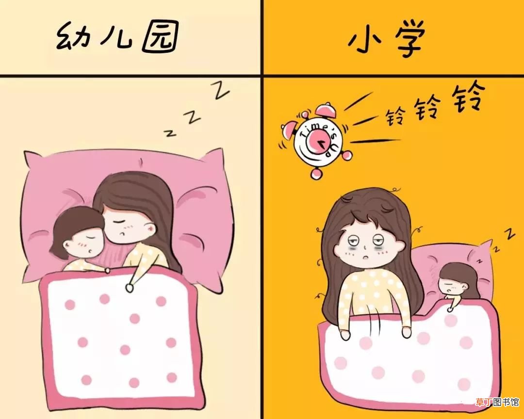 幼儿园与小学的区别
