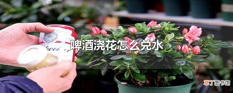 啤酒浇花怎么兑水