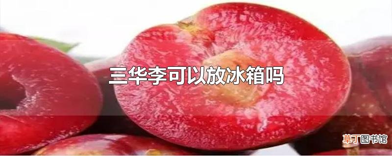 三华李可以放冰箱吗