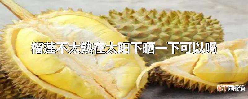 榴莲不太熟在太阳下晒一下可以吗