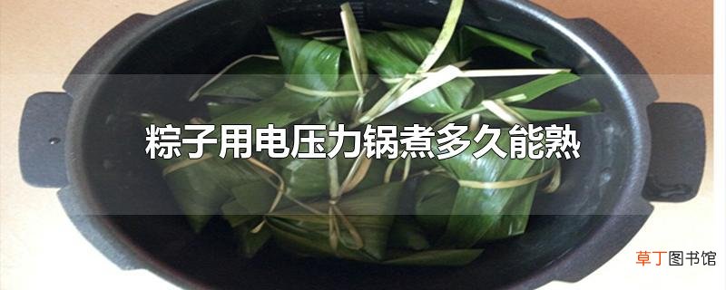 粽子用电压力锅煮多久能熟