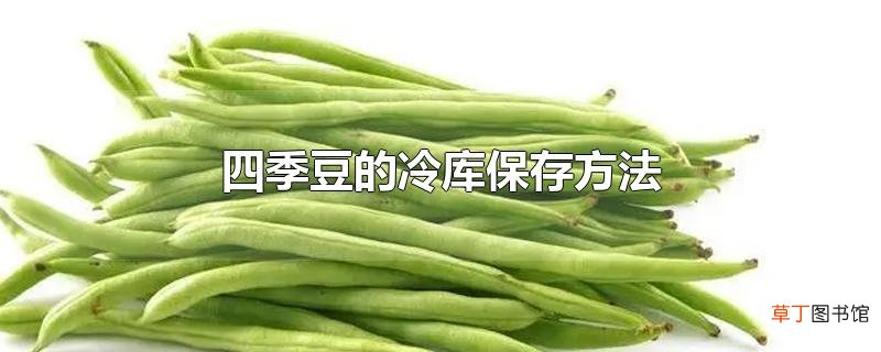 四季豆的冷库保存方法