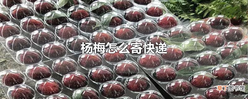 杨梅怎么寄快递