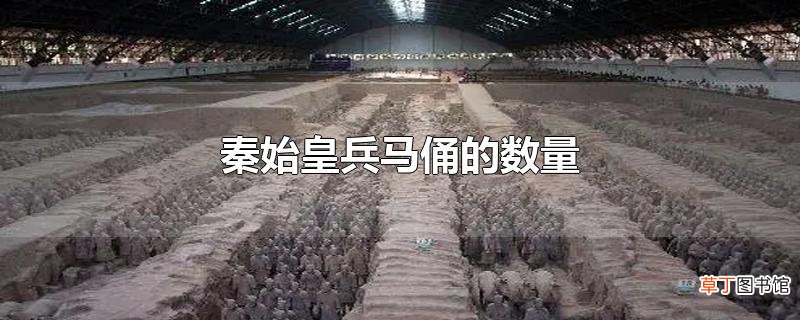 秦始皇兵马俑的数量