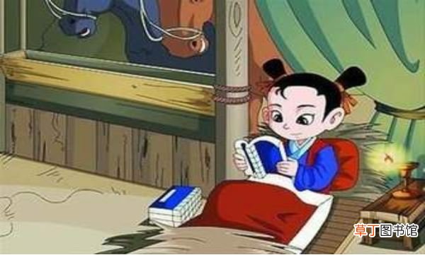 弟子规和三字经有什么区别