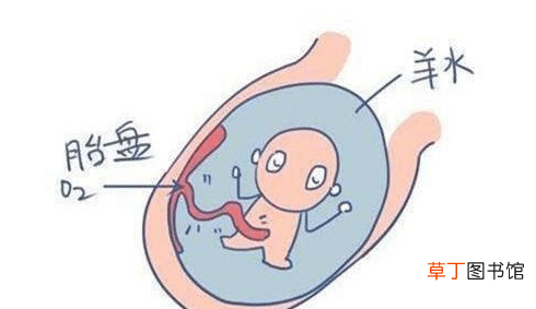 羊水指数正常范围是多少-羊水指数正常范围介绍说明