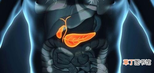 胆囊切除对人的影响-胆囊割掉对人体有些什么影响