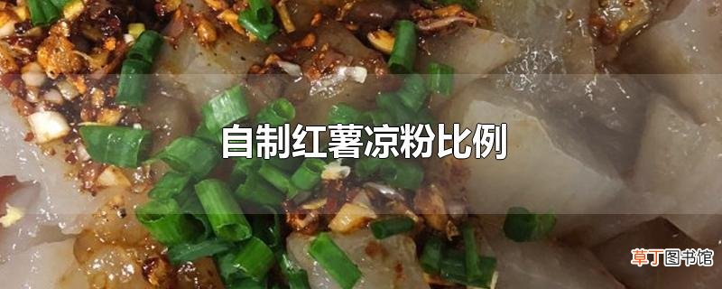 自制红薯凉粉比例
