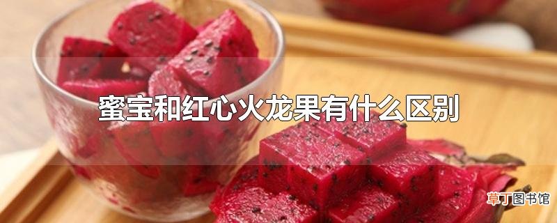 蜜宝和红心火龙果有什么区别