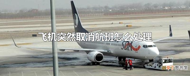 飞机突然取消航班怎么处理