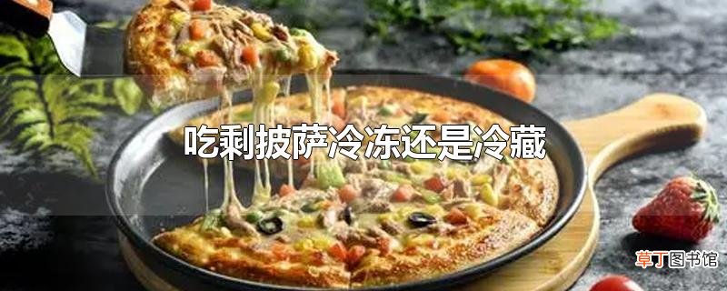 吃剩披萨冷冻还是冷藏