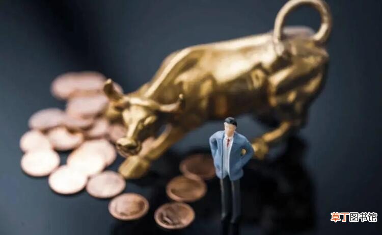 基金累计净值是什么意思