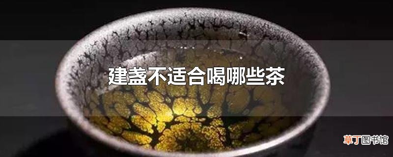 建盏不适合喝哪些茶