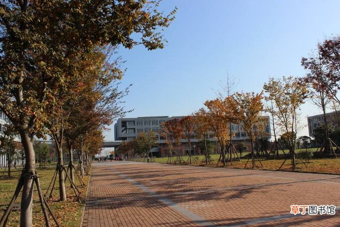 用静态和动态描写放学后的校园
