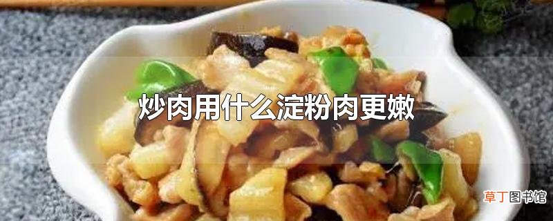 炒肉用什么淀粉肉更嫩