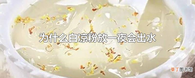 为什么白凉粉放一夜会出水