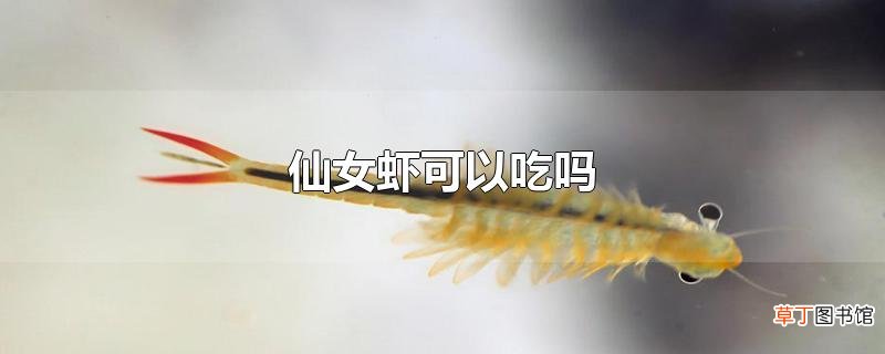 仙女虾可以吃吗